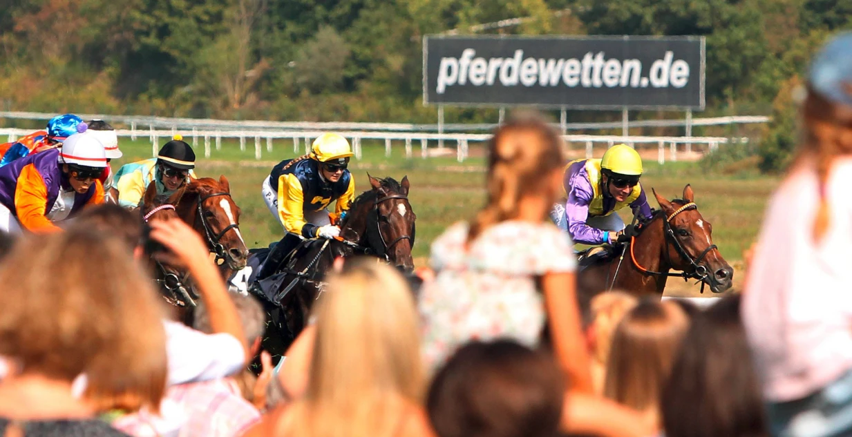 pferdewetten